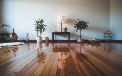 Parkettboden richtig reinigen & pflegen – So bleibt er glänzend & langlebig