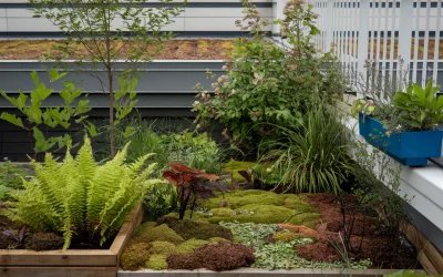 🌿 Ein gesundes Mini-Ökosystem im Garten & auf dem Balkon – Die beste Pflanzenkombination